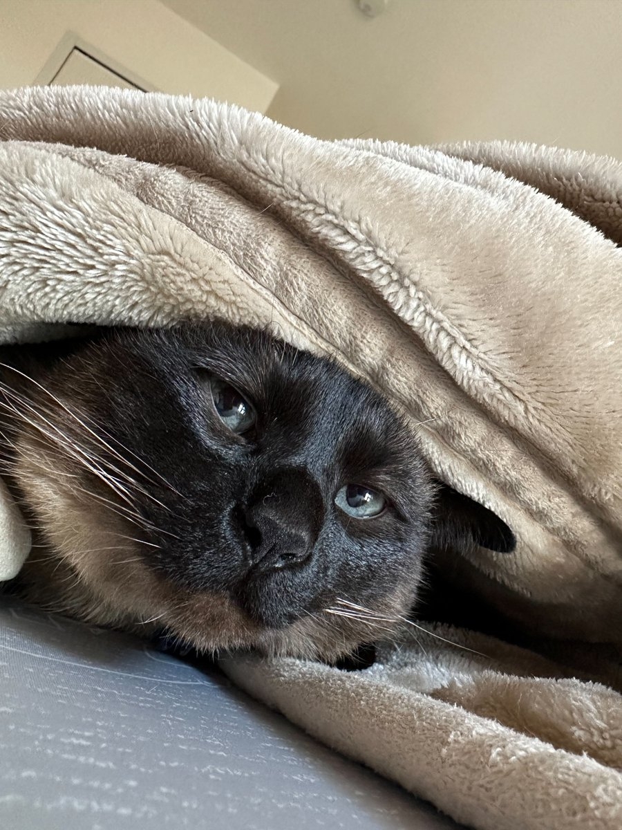 奴才：不是說你不好的意思