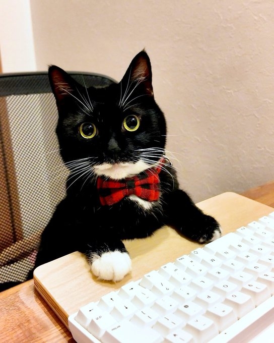 奴才：你誤會我了，傷心TT