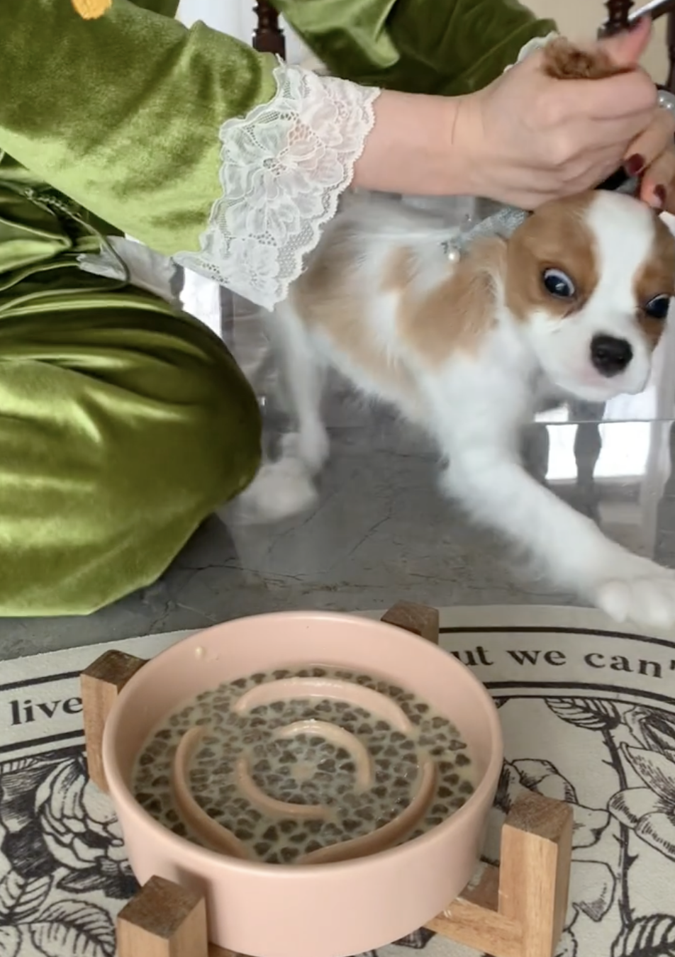 奴才：還好我力氣大啊