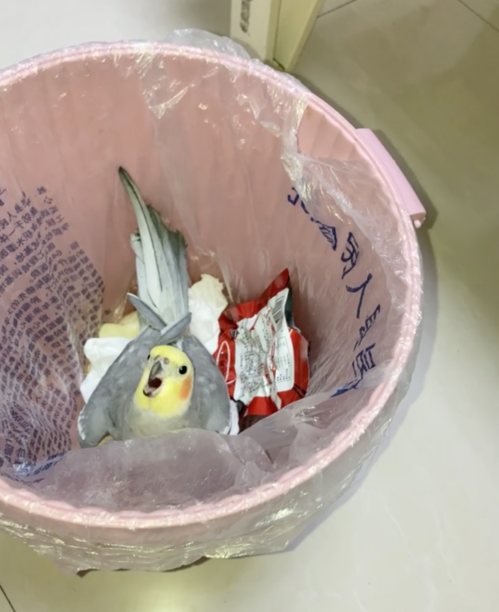 奴才：但是你也別罵我呀