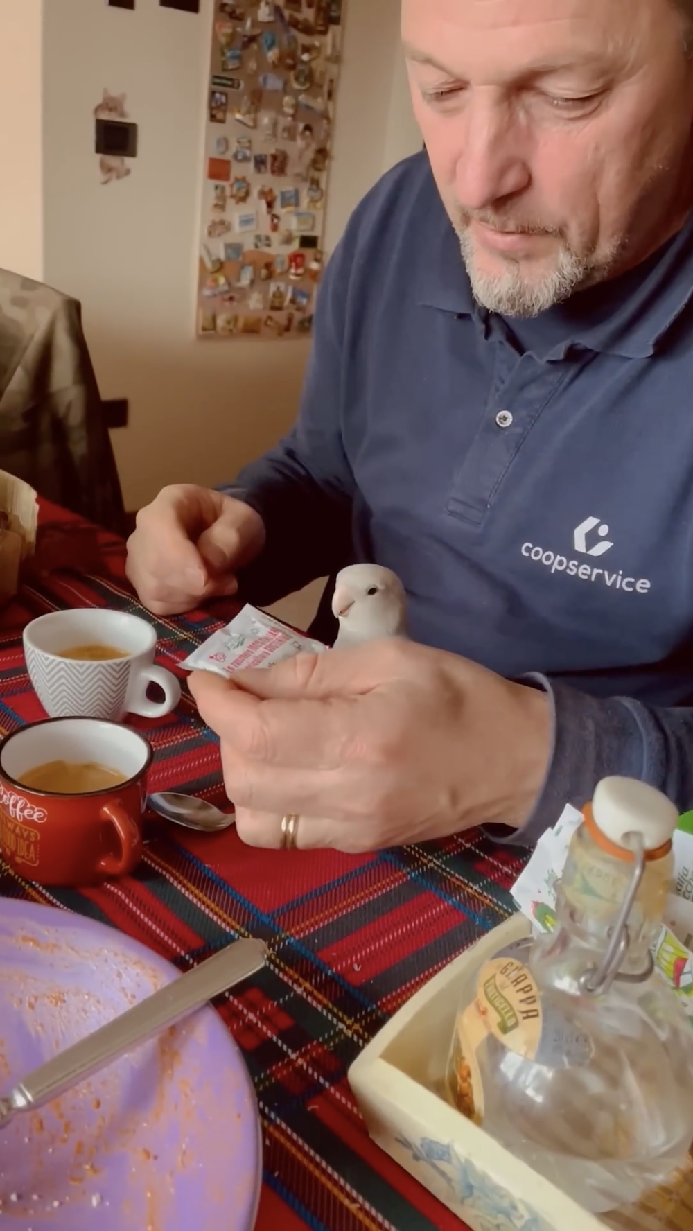 奴才：別著急啊