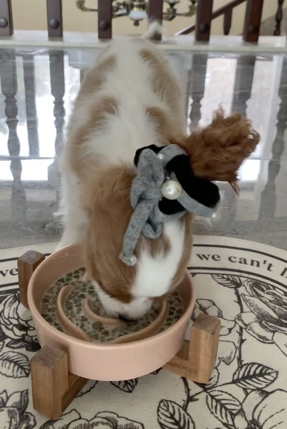 奴才：好了啦～你快吃吧