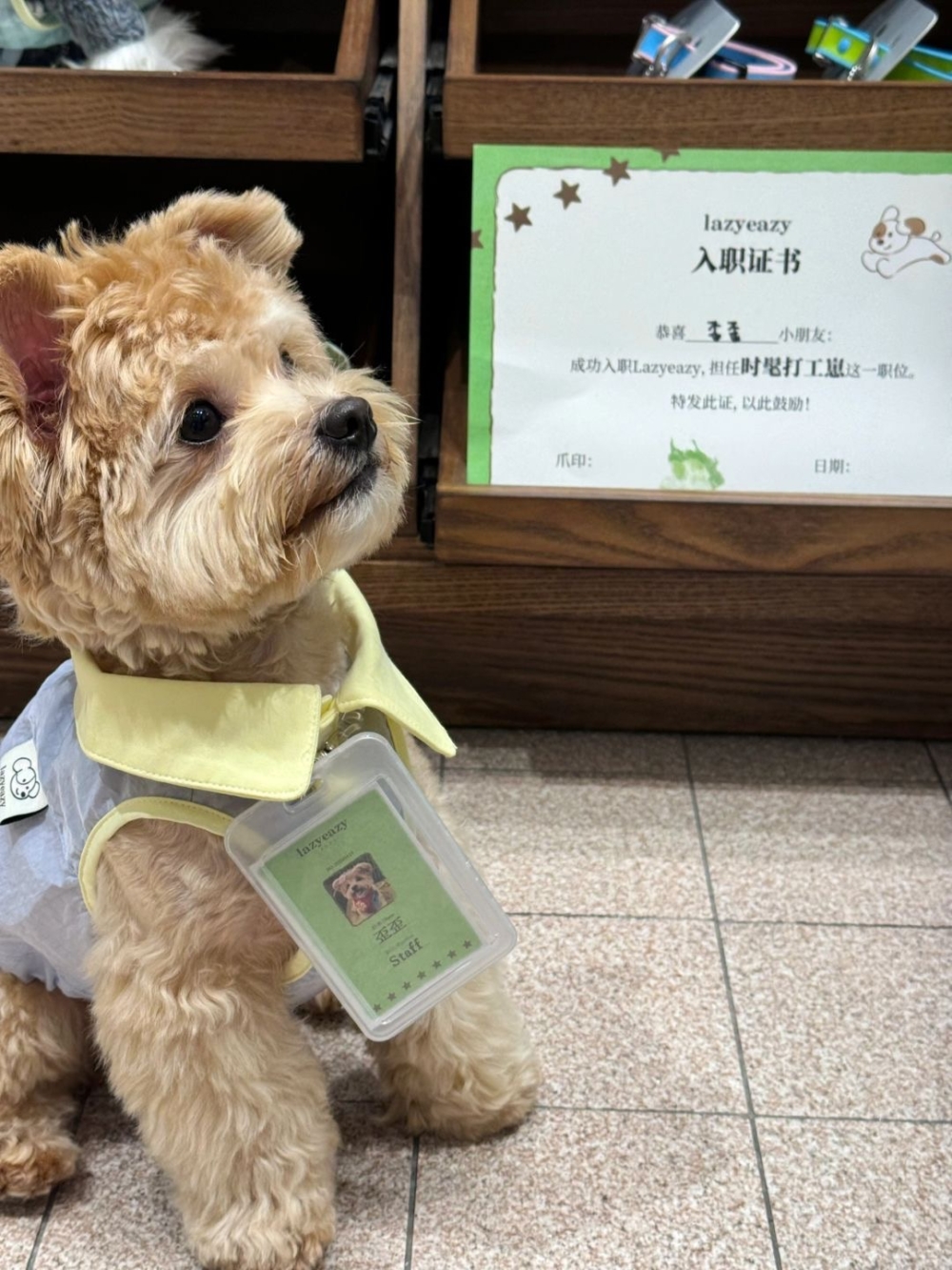 奴才：你慢慢來吧