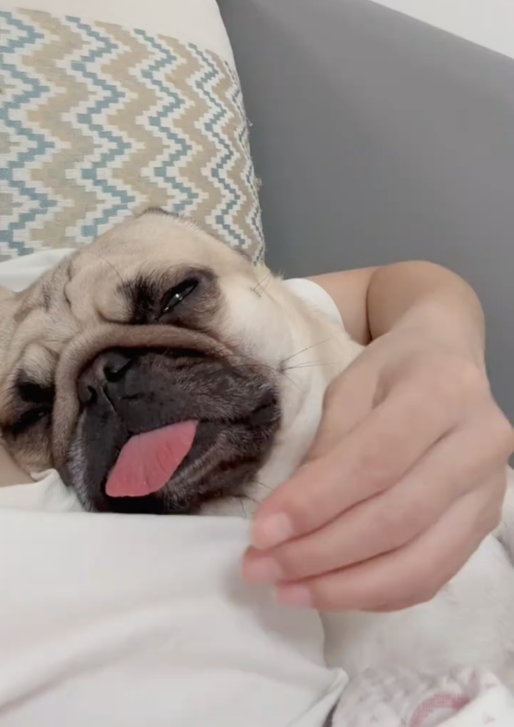 奴才：好神奇啊