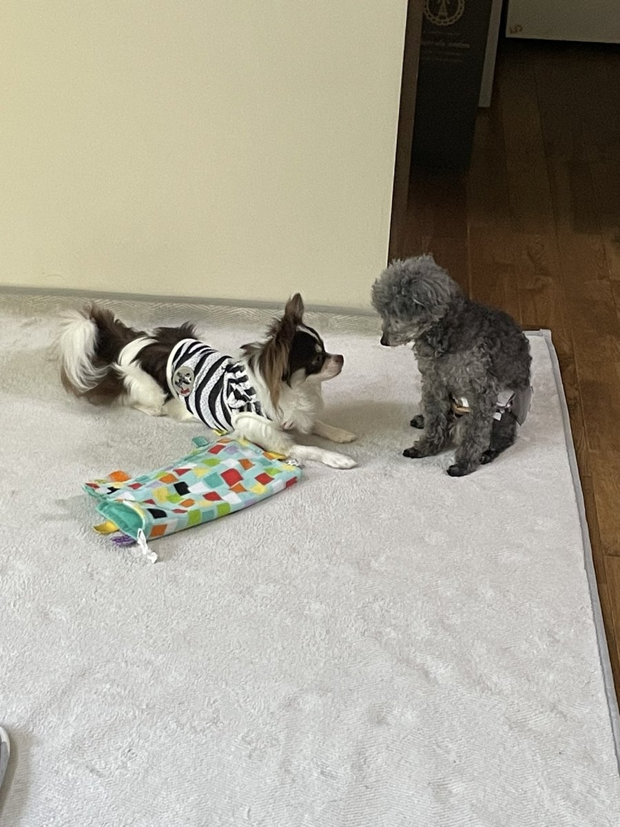 奴才：你想越級篡位嗎？