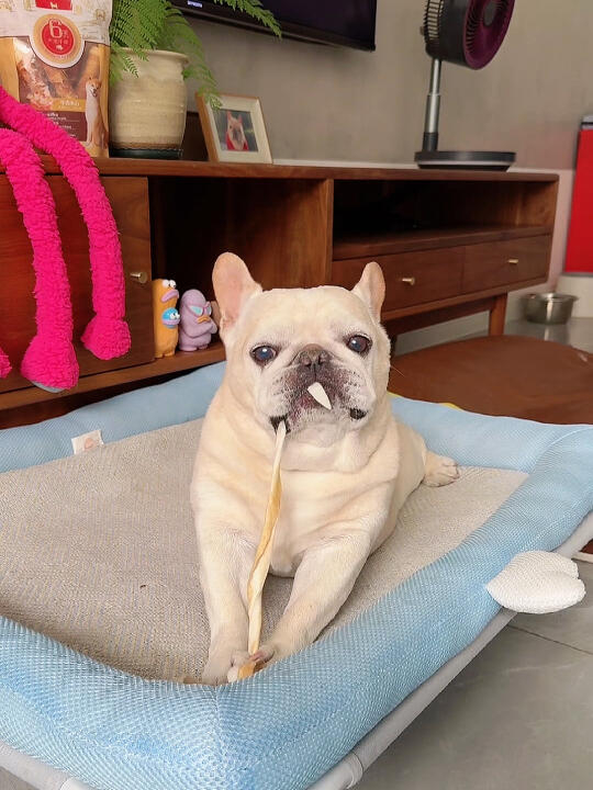 奴才:誇誇你囉!腿確實很長啦