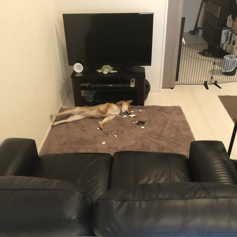 奴才：你怎麼回事啊？