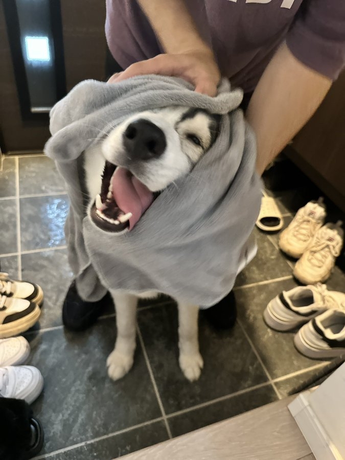 奴才：快回家擦擦身體