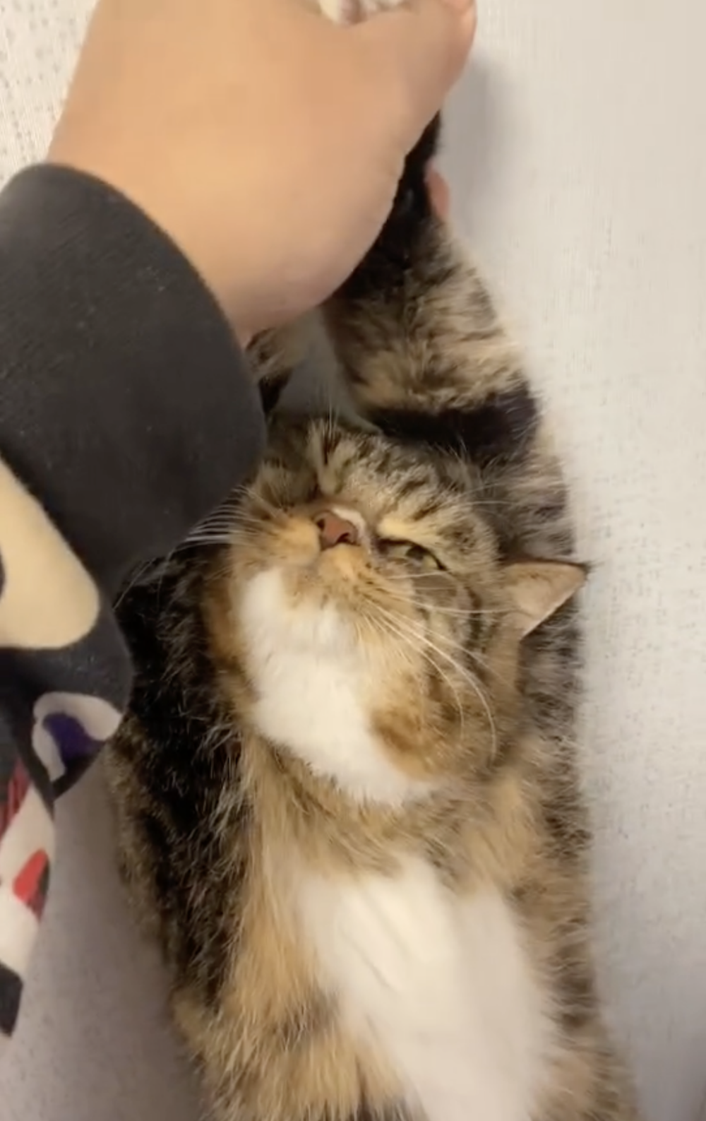 奴才：完了！被拿捏的死死的啦