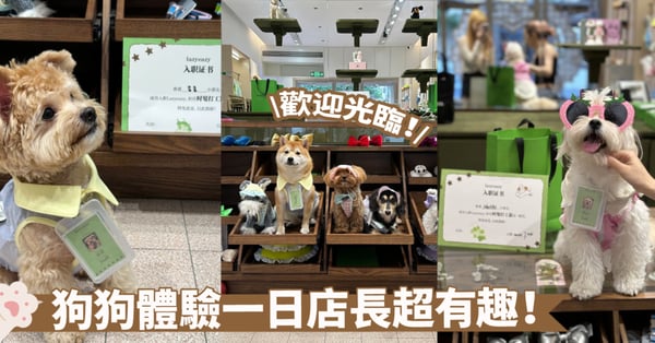 超對味的宣傳方式!狗狗擔任一日店長體驗打工仔日常~生招牌就是最好的廣告啦