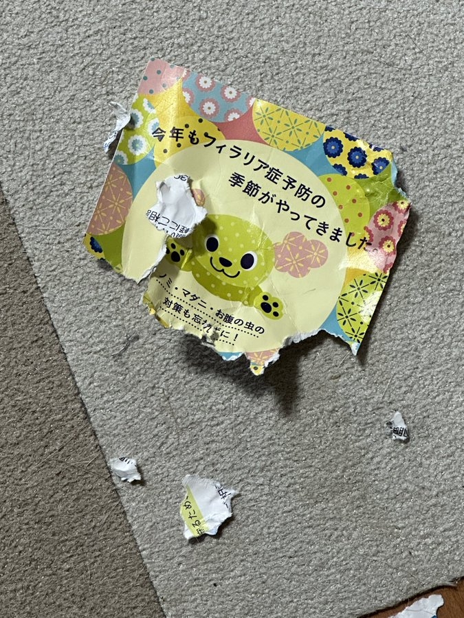 奴才：我怎麼不太信呢