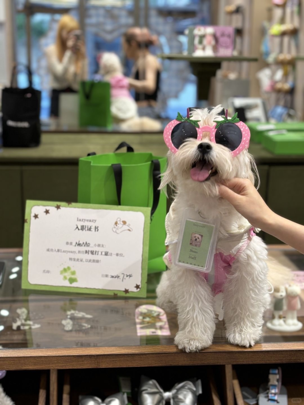 奴才：還沒選好是吧