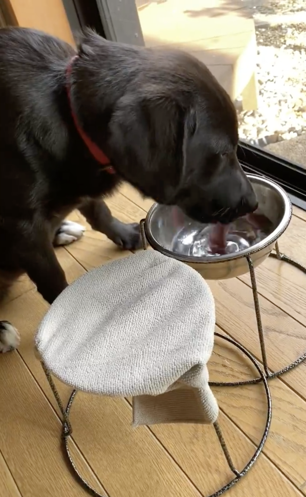 奴才：對啦對啦