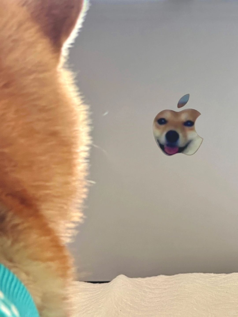 奴才：太自戀了吧