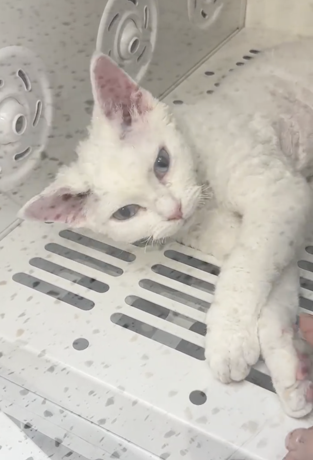 奴才：為什麼要在裡面睡覺啦