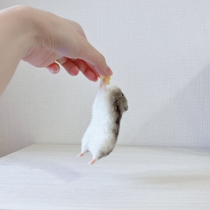 奴才：吃的比安全重要嗎？