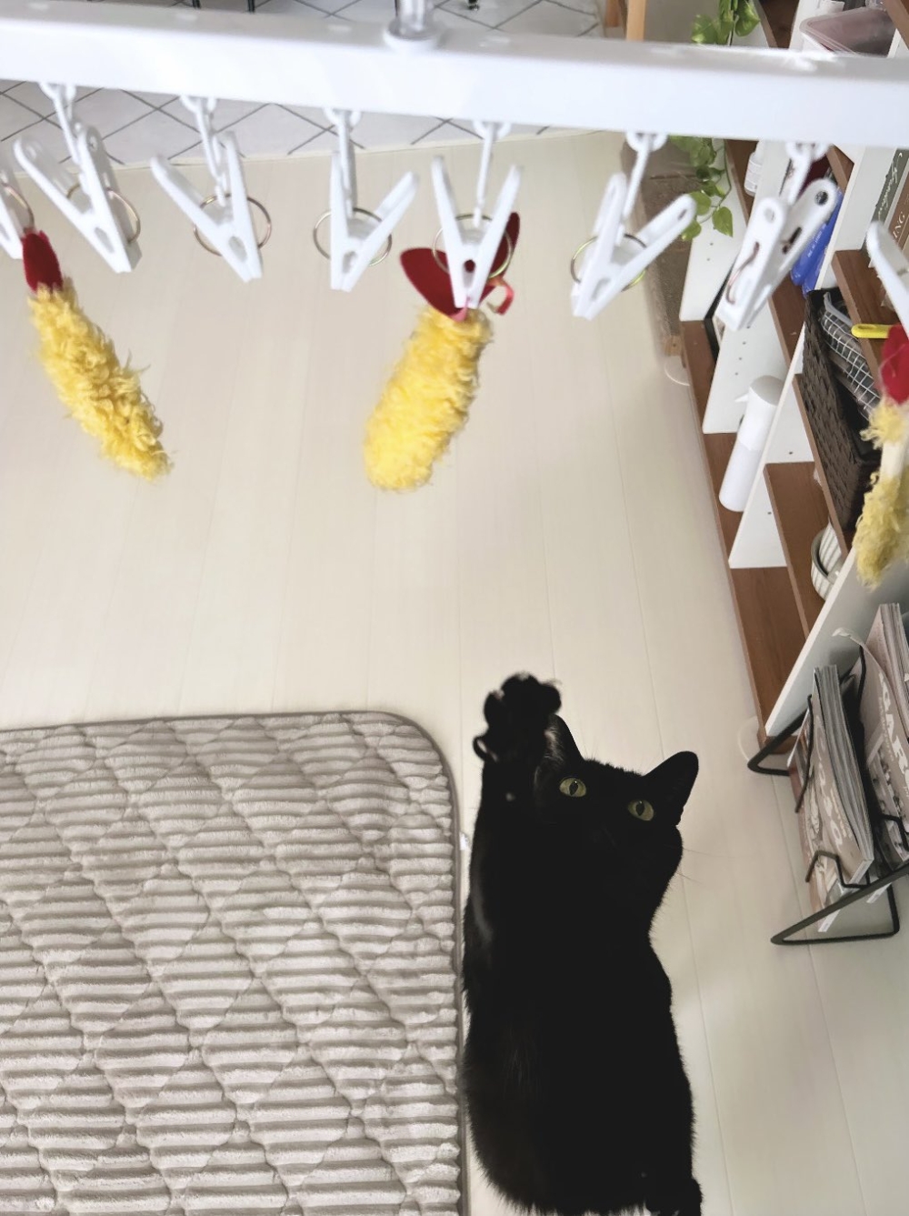 奴才：我幫你洗乾淨了