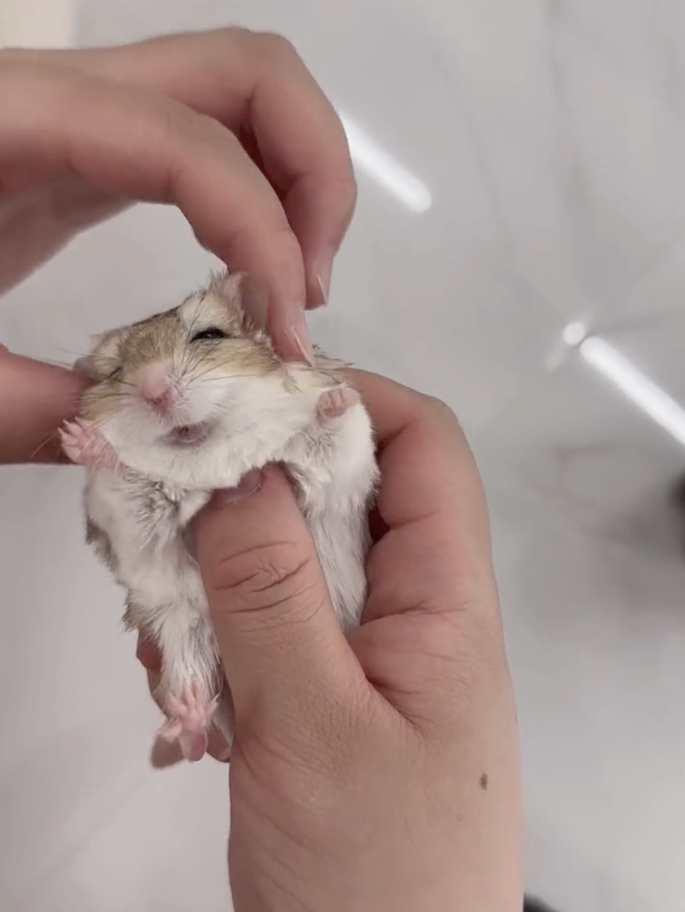 奴才：手法還行嗎