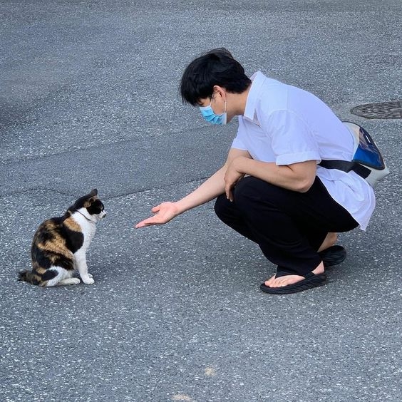 當你把你對動物的愛，去救援需要幫助的浪浪，當作為離世的寵物積福。