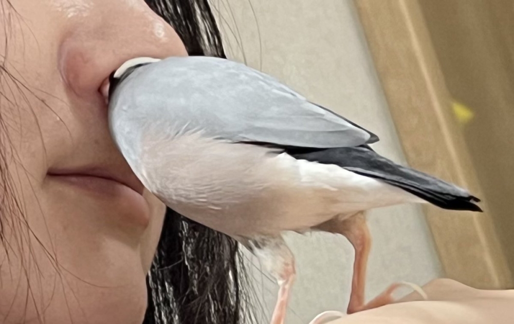 奴才：有點癢癢的欸