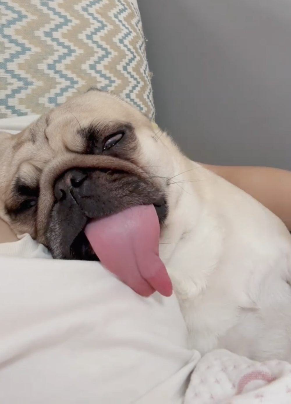 奴才：你睡你的，我玩我的