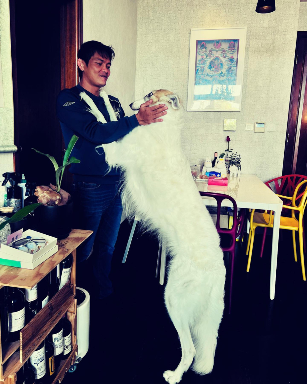 Bro的體型龐大，站起來接近5呎4吋高。