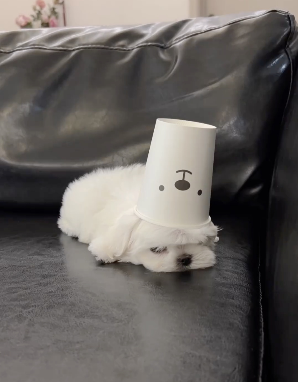 奴才：要是不拿走呢？