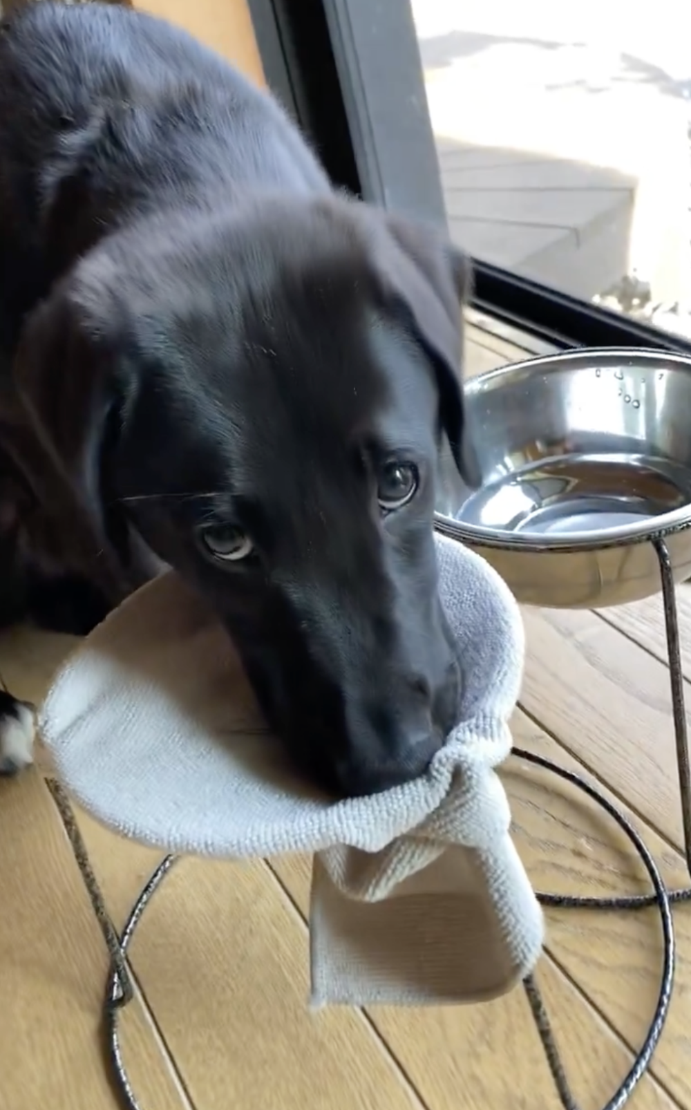 奴才：總算記住啦