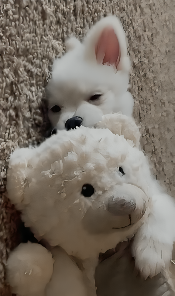 奴才：下次會注意噠