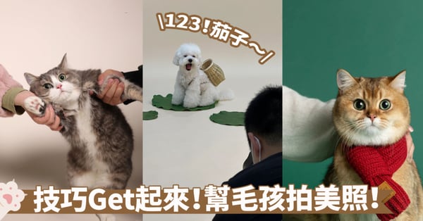 抓住寵物最萌瞬間！學會這些拍攝技巧，讓你輕鬆拍出完美寵物照～