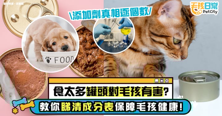 寵物罐頭多吃有害？食品添加劑的真相大揭密！查看成分表助力寵物健康～