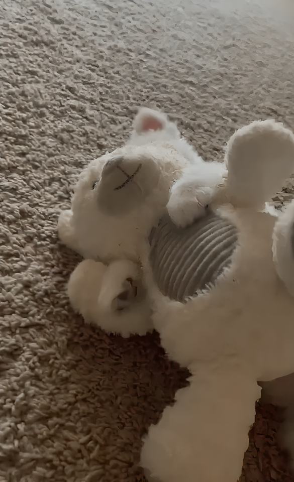 奴才：我還沒回過神來