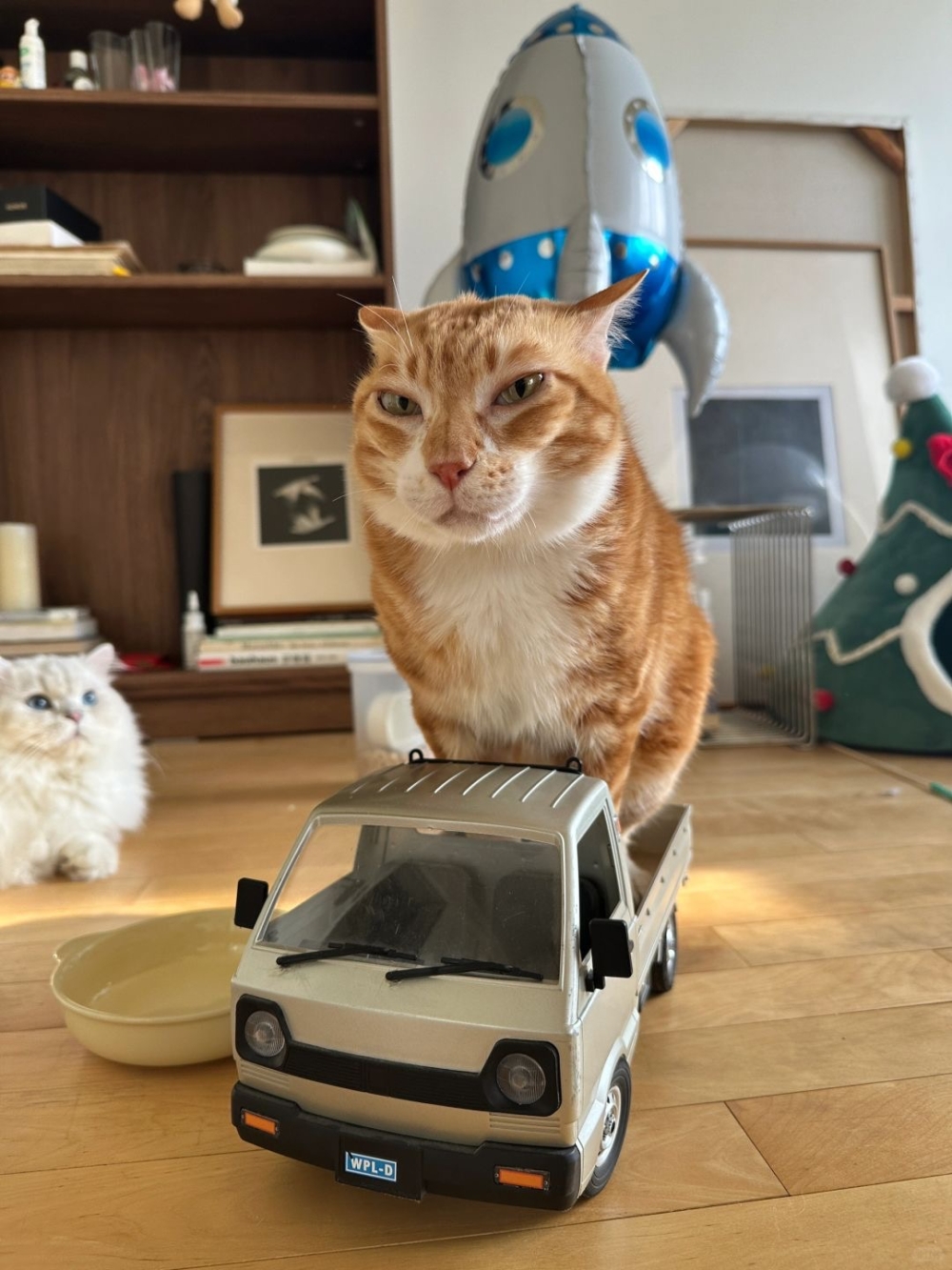 奴才：對，沒錯啊