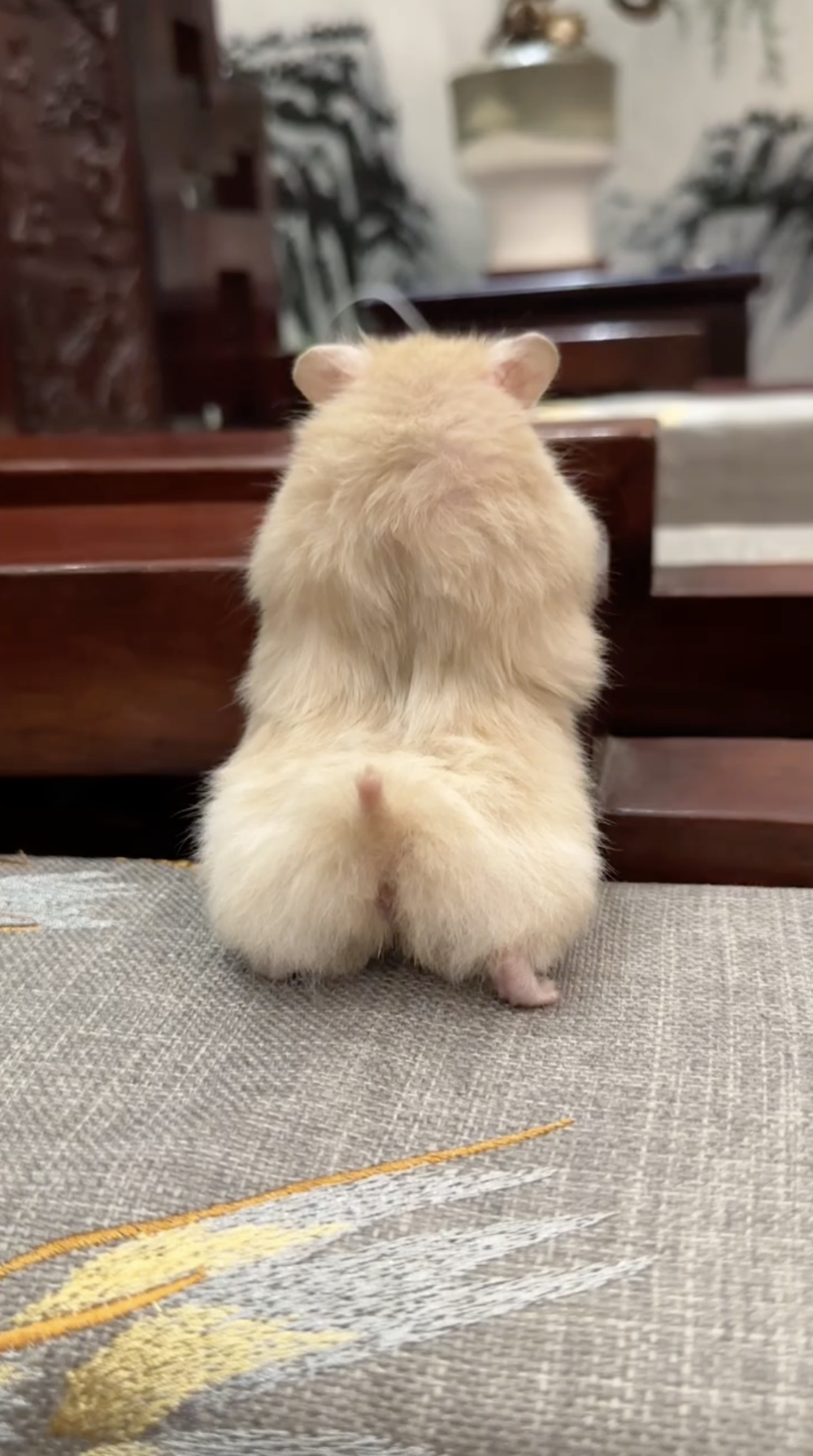 奴才：你別這樣啦