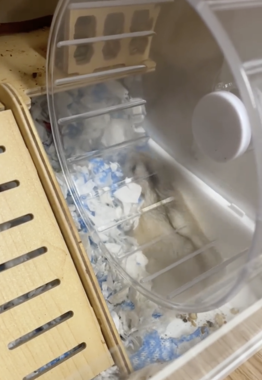 奴才：那你就搬吧