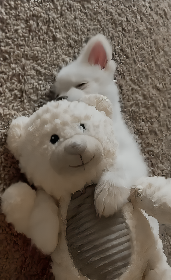 奴才：這也不能怪我吧