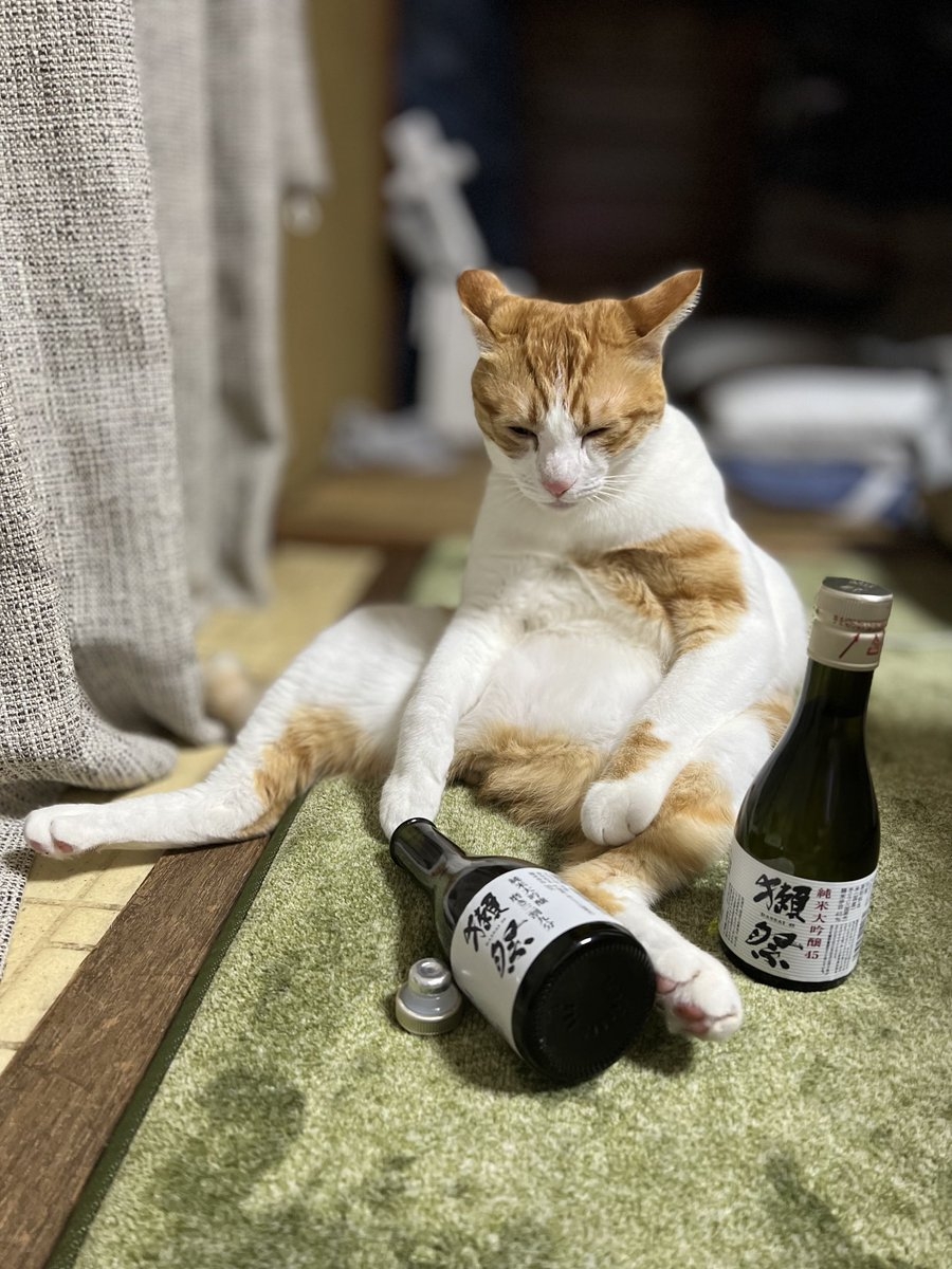 奴才:不怕啦!這真的只是玩具