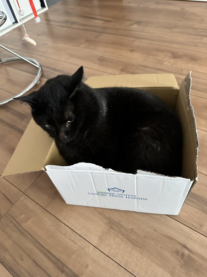 奴才：好吧～留給你