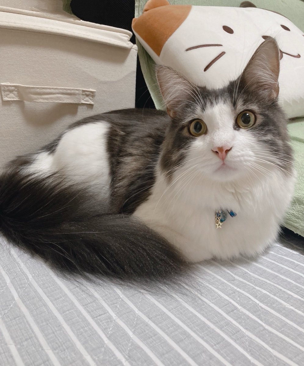 奴才：就是那麼霸道