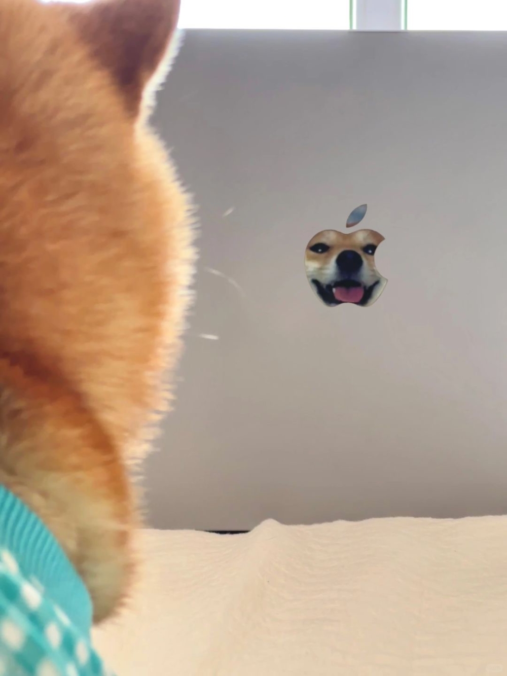 奴才：你怎麼那麼愛照鏡子呀