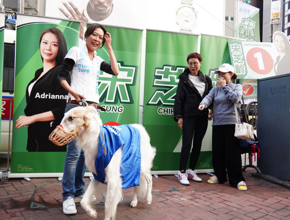 宋芝齡偶爾會帶Bro外出。