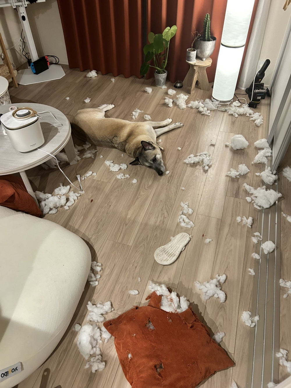 奴才：這有那麼好玩嗎？