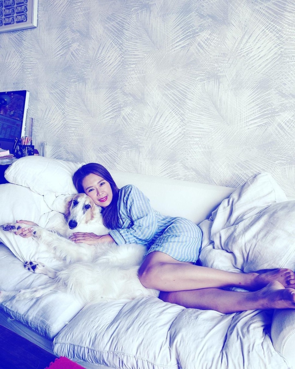 《流行都市》主持宋芝齡養了一隻逾10萬港元的波索獵犬（Brozoi）