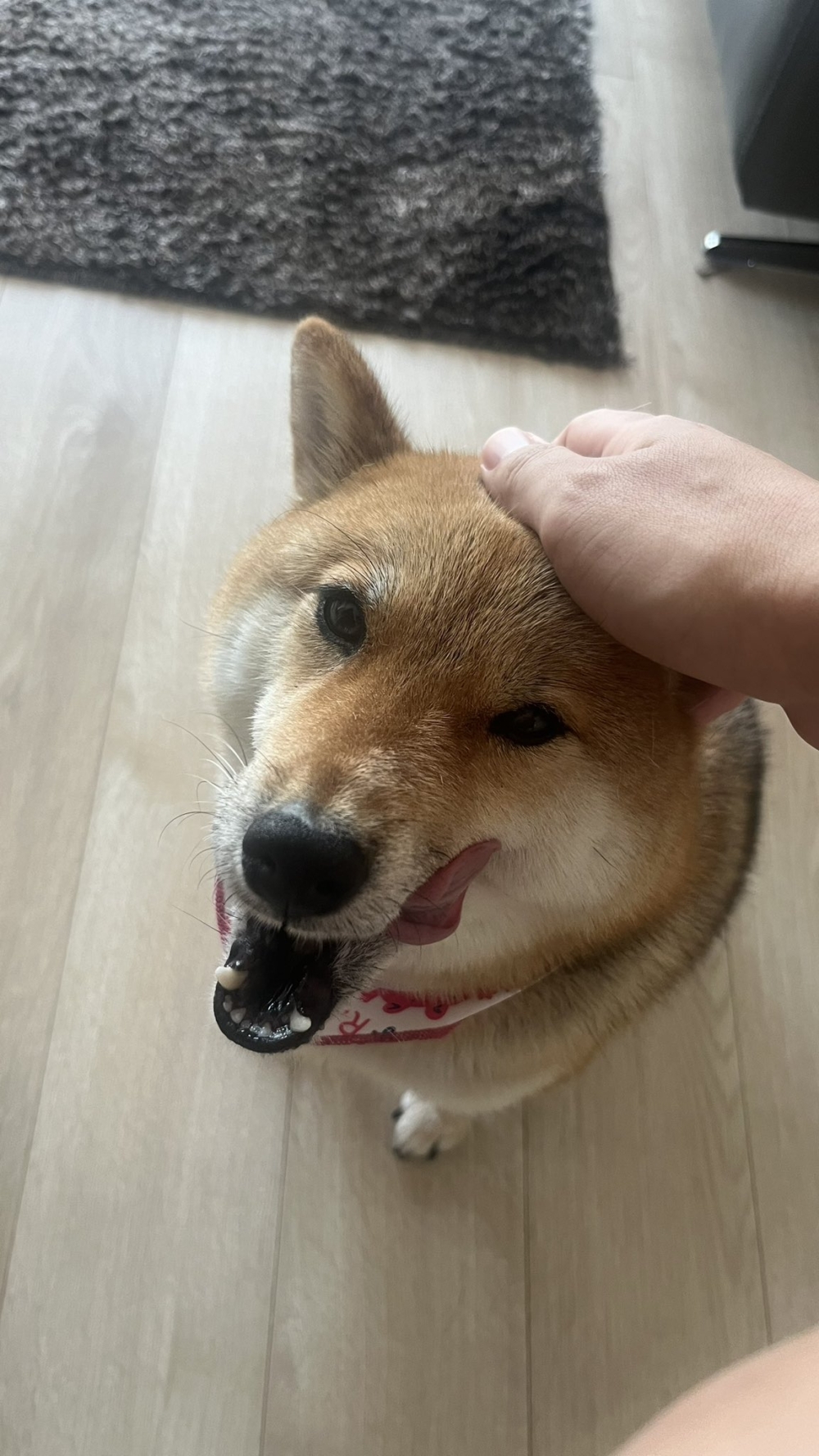 奴才：你脫不了罪囉