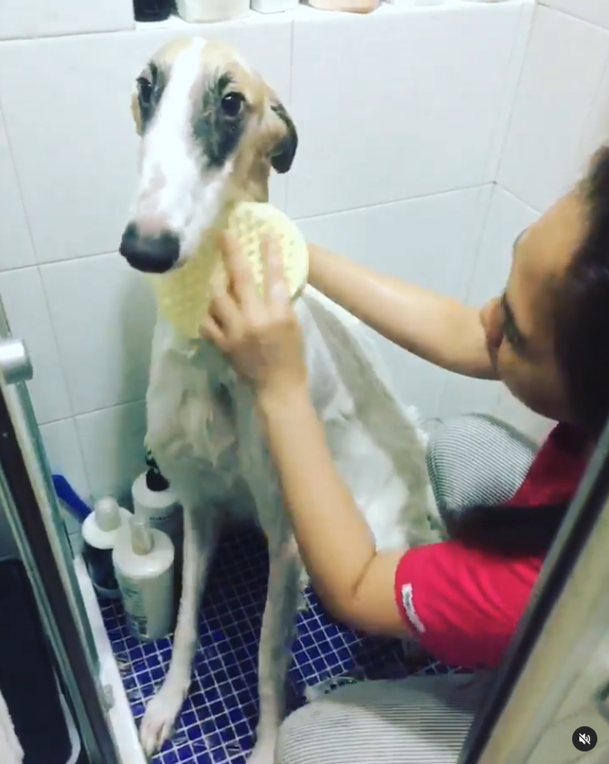 還有工人姐姐為Bro洗澡。