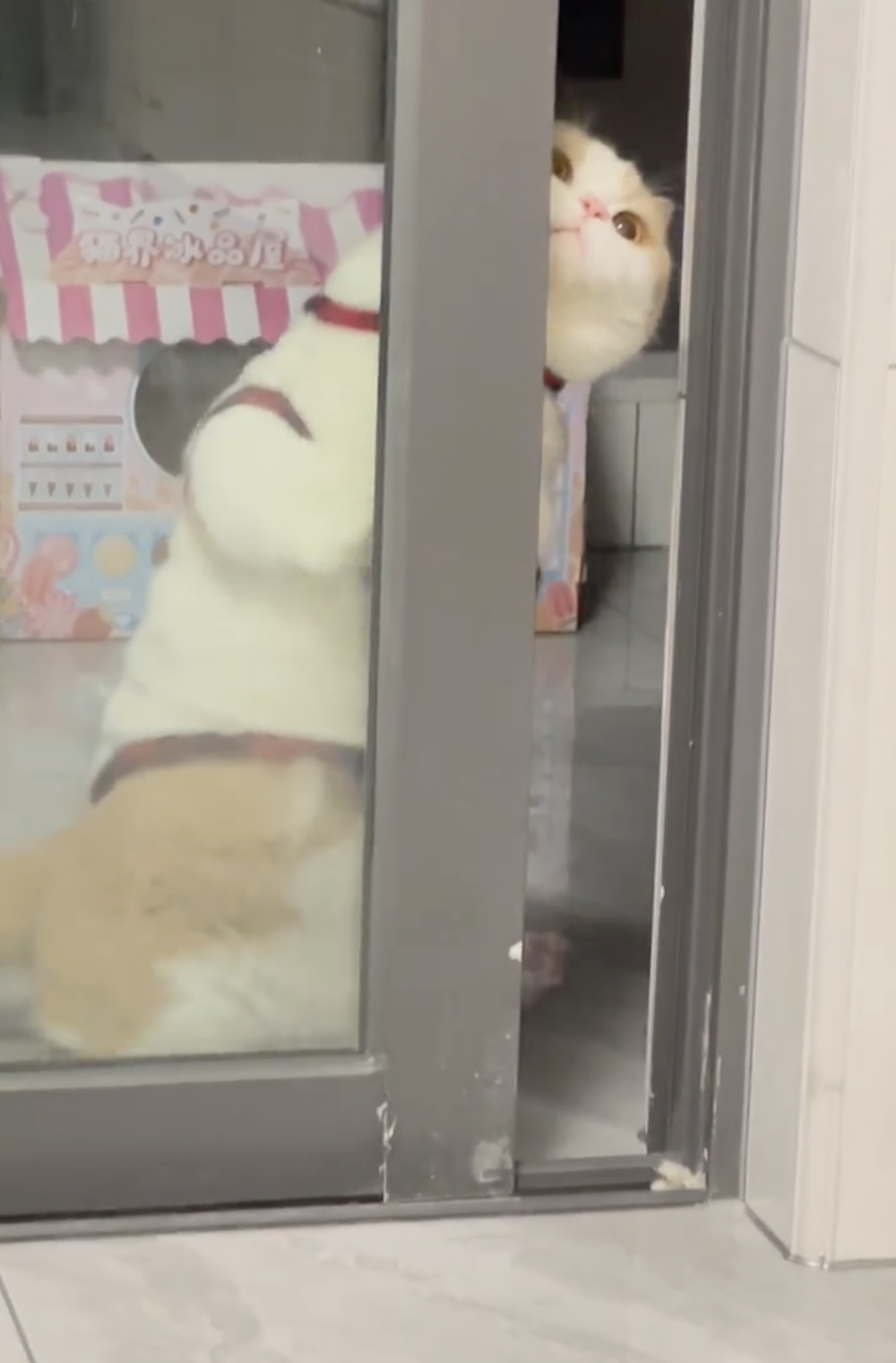 奴才：你缺乏鍛鍊啊