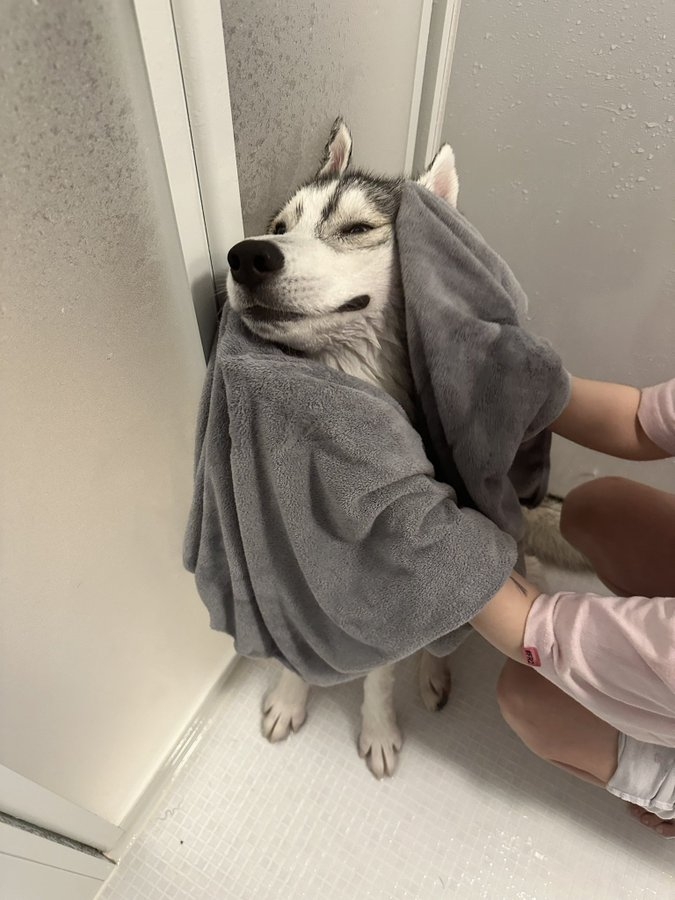 奴才：洗澡的時候不見你那麼高興