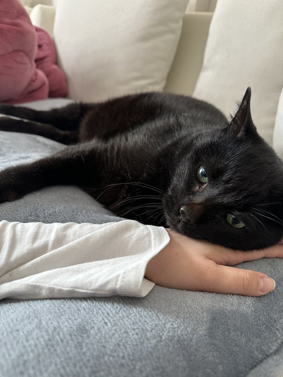 奴才：家裡快變垃圾場了