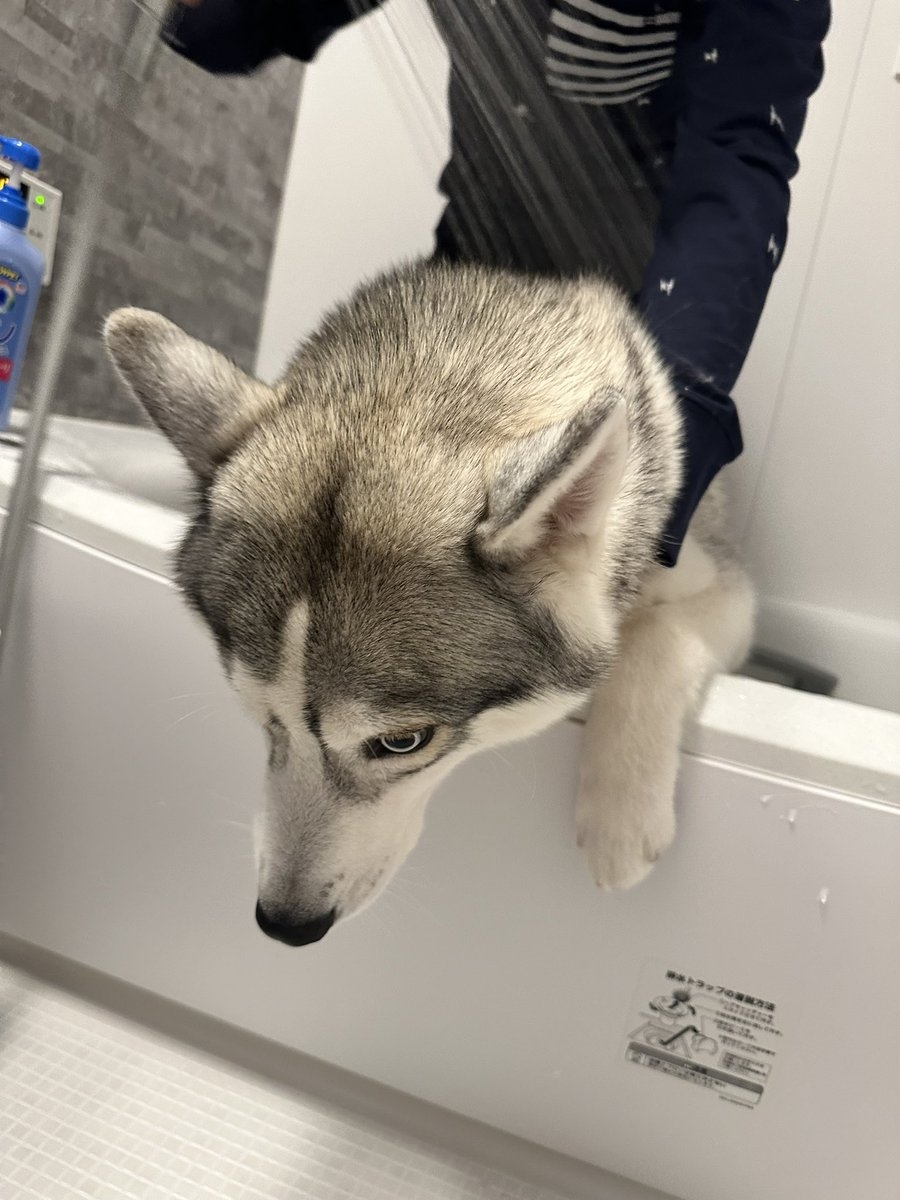 奴才：好吧～可以理解