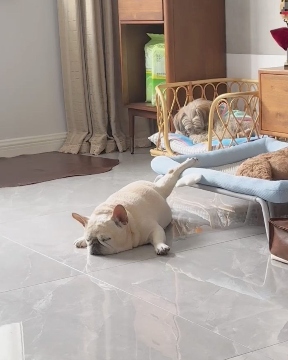 奴才:那你說說重點是什麼